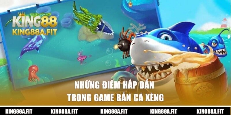 Khám phá những điểm hấp dẫn nhất khi tham gia săn ngư