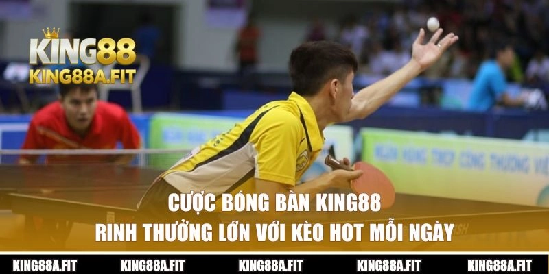Cược Bóng Bàn KING88 – Rinh Thưởng Lớn Với Kèo Hot Mỗi Ngày