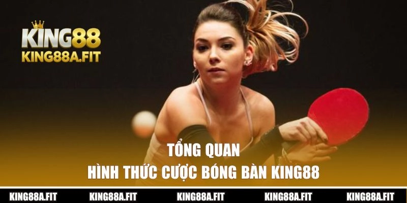 Tổng quan về hình thức cược bóng bàn tại KING88