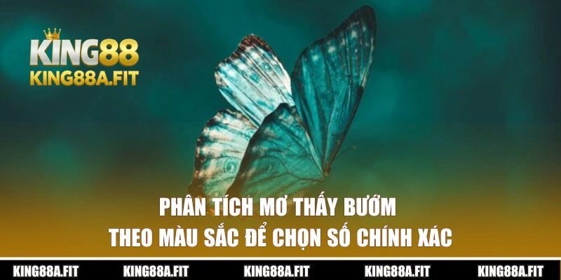 Phân tích mơ thấy bướm theo màu sắc để chọn số chính xác
