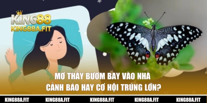 Mơ Thấy Bướm Bay Vào Nhà – Cảnh Báo Hay Cơ Hội Trúng Lớn?