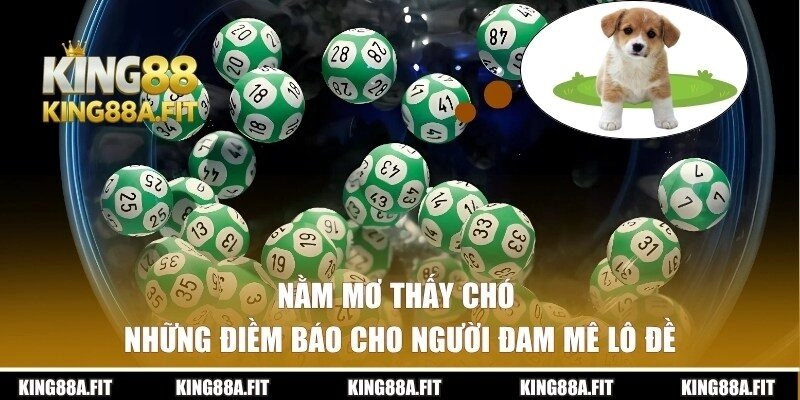 Điềm báo nằm mơ thấy chó