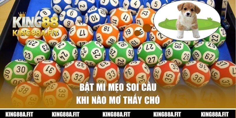 Gợi ý bắt lô khi chiêm bao mơ thấy chó
