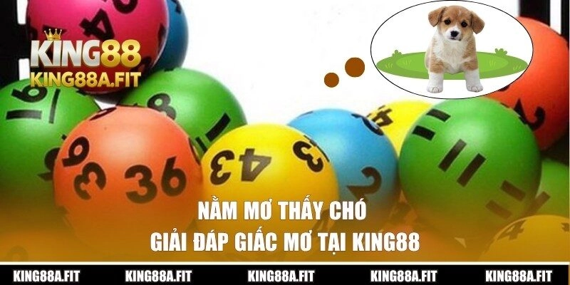 Nằm Mơ Thấy Chó Đánh Con Gì? Chọn Số Cùng Chuyên Gia KING88