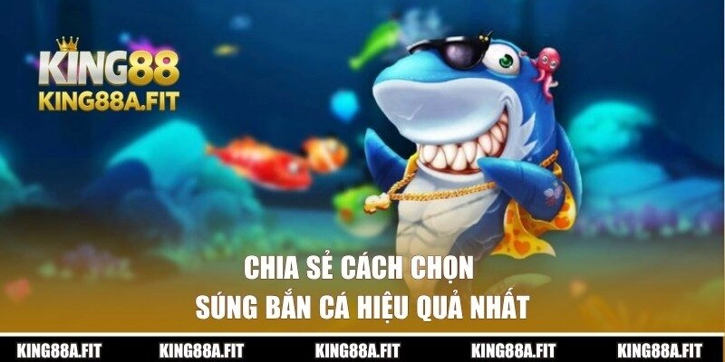 Những cách để chọn vũ khí săn ngư hiệu quả